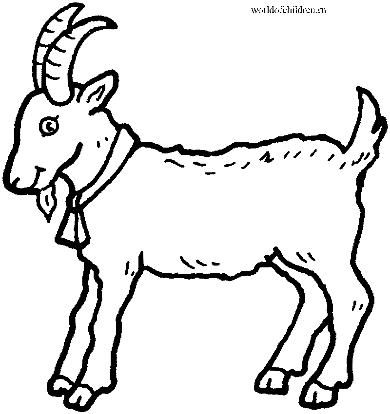 Раскраска козел